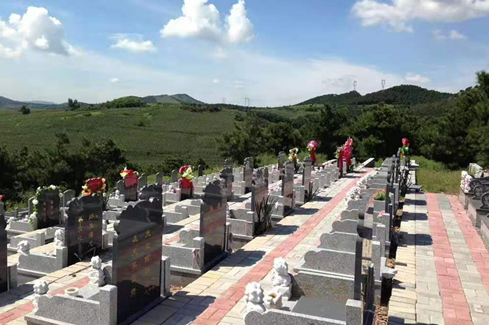 墓园环境