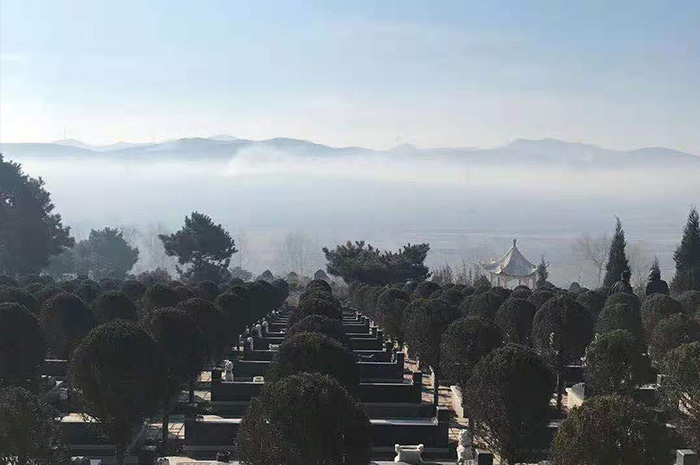 墓园环境