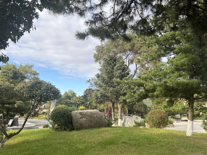 双龙山墓园班车的发车时间和地点