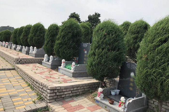 墓园环境